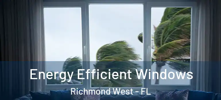  Energy Efficient Windows Richmond West - FL