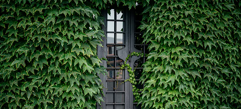 Garden Gate Repair in Richmond West, FL